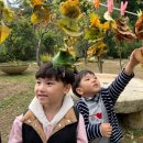 수니유치원 이미지