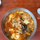 내가 쏜 닭 | [일 끝나고 쏜 강릉여행기] 11/21~23