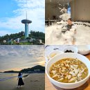 명사십리길 | 완도여행 가볼만한곳 1박2일 코스 완도치유페스타 후기