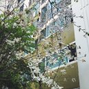 사파동239 | 일상기록 | Sat, 16 Apr 2022