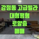 강정동-54 이미지