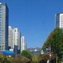 청사로 코오롱로 이미지