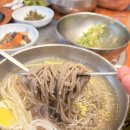 영주 일우정 | 우정면옥 : 경북 영주 웨이팅 냉면 맛집, 메밀물냉면과 석갈비 주문 후기