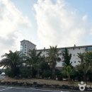 블루하와이호텔 이미지