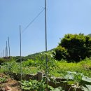 하남대로284번길 이미지