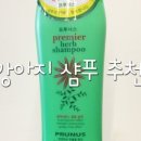 JJ hair(제이제이헤어)