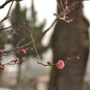 순천매산여자고등학교 이미지