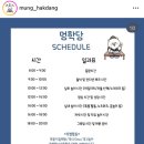 멍학당 | 성남 강아지유치원 멍학당 후기 (내돈내산)