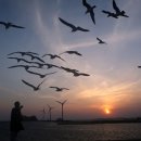 유리섬미술관 이미지