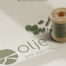베이직홀릭