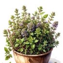 스마트하게 하는 주식투자 | 주식담보대출 골드스탁론, 업계 최저금리 예수금담보로 스마트하게 이용하기