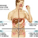 남자 왼쪽 옆구리 통증 원인은 이미지