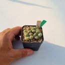 우근농장 이미지