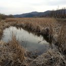 족발보쌈전문 이미지