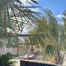 서유의섬 이미지