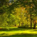 신세계무도장 이미지