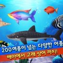 피쉬매니아