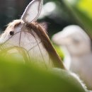 이풀실내정원 이미지