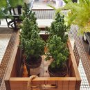 초록농장 | [경기 광주] 초록으로 채워진 감성 공간, 유칼립투스 농장 카페