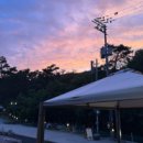 트리캠핑장 이미지