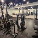 고 베어 짐 이미지