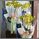 씨유 평택고덕센터점 | 평택꽃집 감성 가득한 평택예술의전당 꽃집 방문 후기 🌸