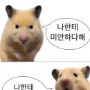 2시치킨포차 네이버블로그