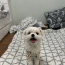 초리골펜션 이미지