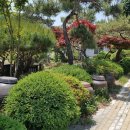 대지부속 이미지