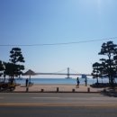 바다이용원 이미지