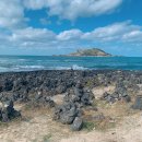 비자낭달집 이미지