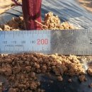 하임농장 이미지