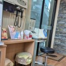 드림인삼송의원 이미지