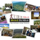 천지세무법인 이미지