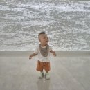 슬도아트 전시 [힐링 사우나] | 울산아기와가볼만한곳추천울산 동구 아이와 가볼만한곳 │ 슬도아트 무료 전시 관람 후기