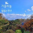숲속펜션 네이버블로그