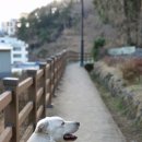 풍산개체육공원 이미지