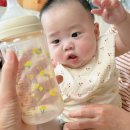 베베유카 이미지