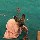 멍글멍글 이미지