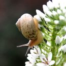 시네마댄스 이미지