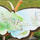 양서·파충류생태공원 아나콘다관 이미지