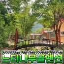 느티나무골펜션 이미지