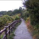 해산촌