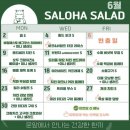 샐로하