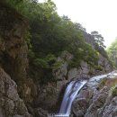 동유중기 이미지