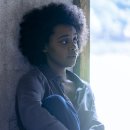 Puppy's Dream 이미지