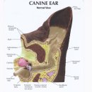 참건강약국 이미지