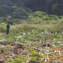 김명복농장 이미지