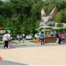 김영희목장 | [수성구 추천 유치원] 대구 근교 가볼 만한 곳 - 여름방학 여기서 보내봐요~