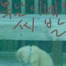 복 이미지